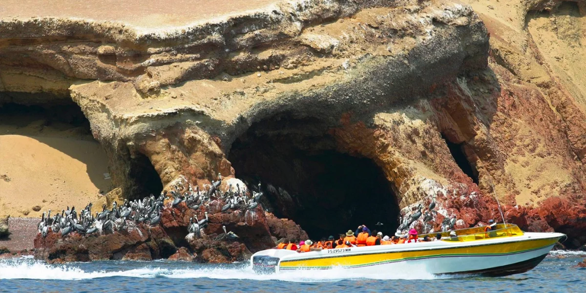 Ballestas Islands boat tour Paracas - sea lions and birds on rocky cliffs in Peru