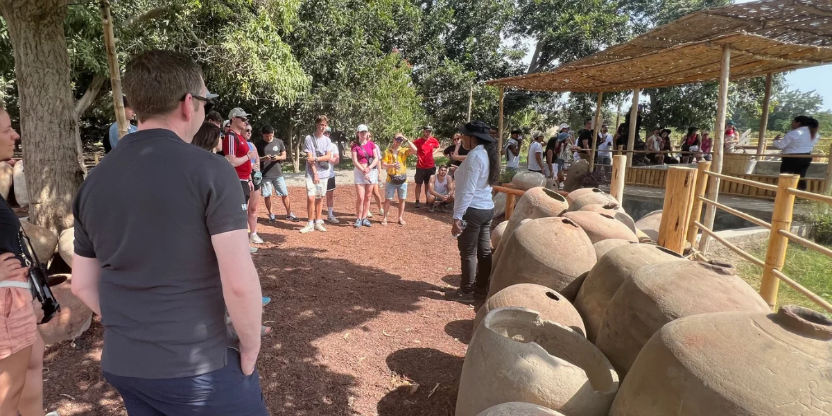 Wine and Pisco tasting in Ica - Peru Bucket List