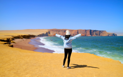 Top 8 Things to Do in Paracas Peru 2026 Guide - Peru Bucket List