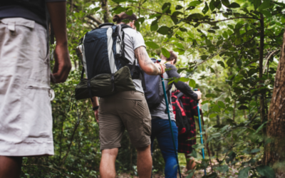 Closest Rainforest to Cusco: Your 2025 Guide