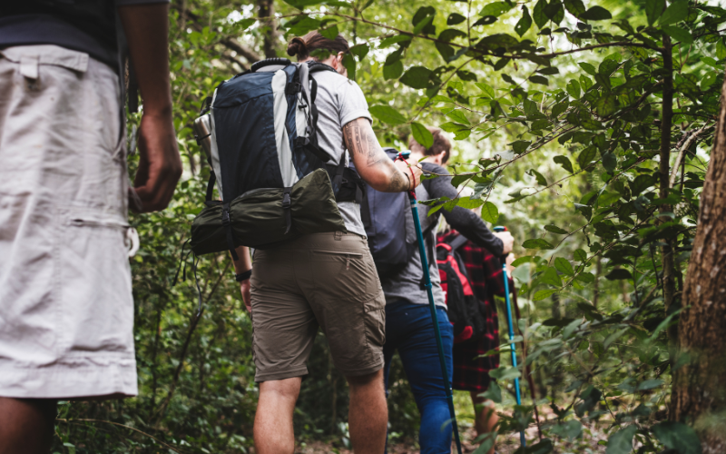Closest Rainforest to Cusco Your 2025 Guide - Peru Bucket List