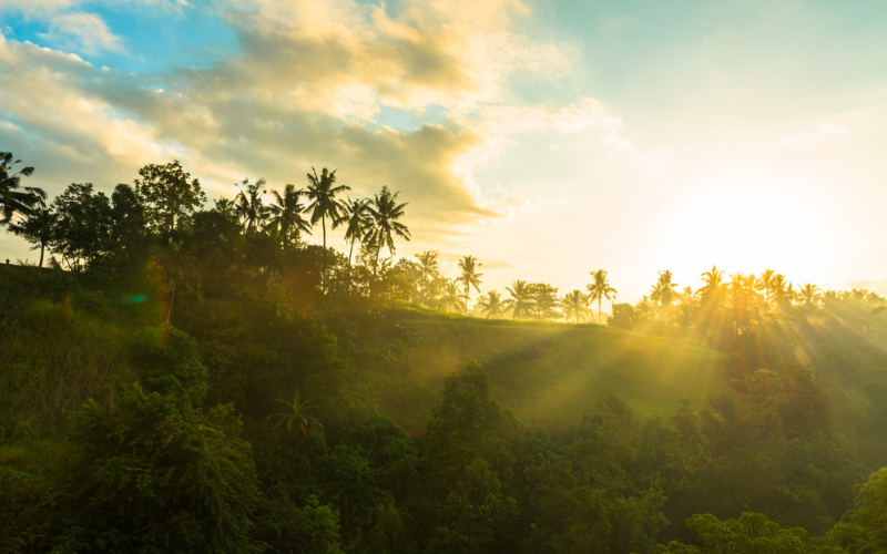 How Hot is the Peruvian Amazon Your 2025 Guide