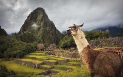 Beyond-Machu-Picchu-15-Incredible-Things-to-Do-in-Peru-2026-Guide