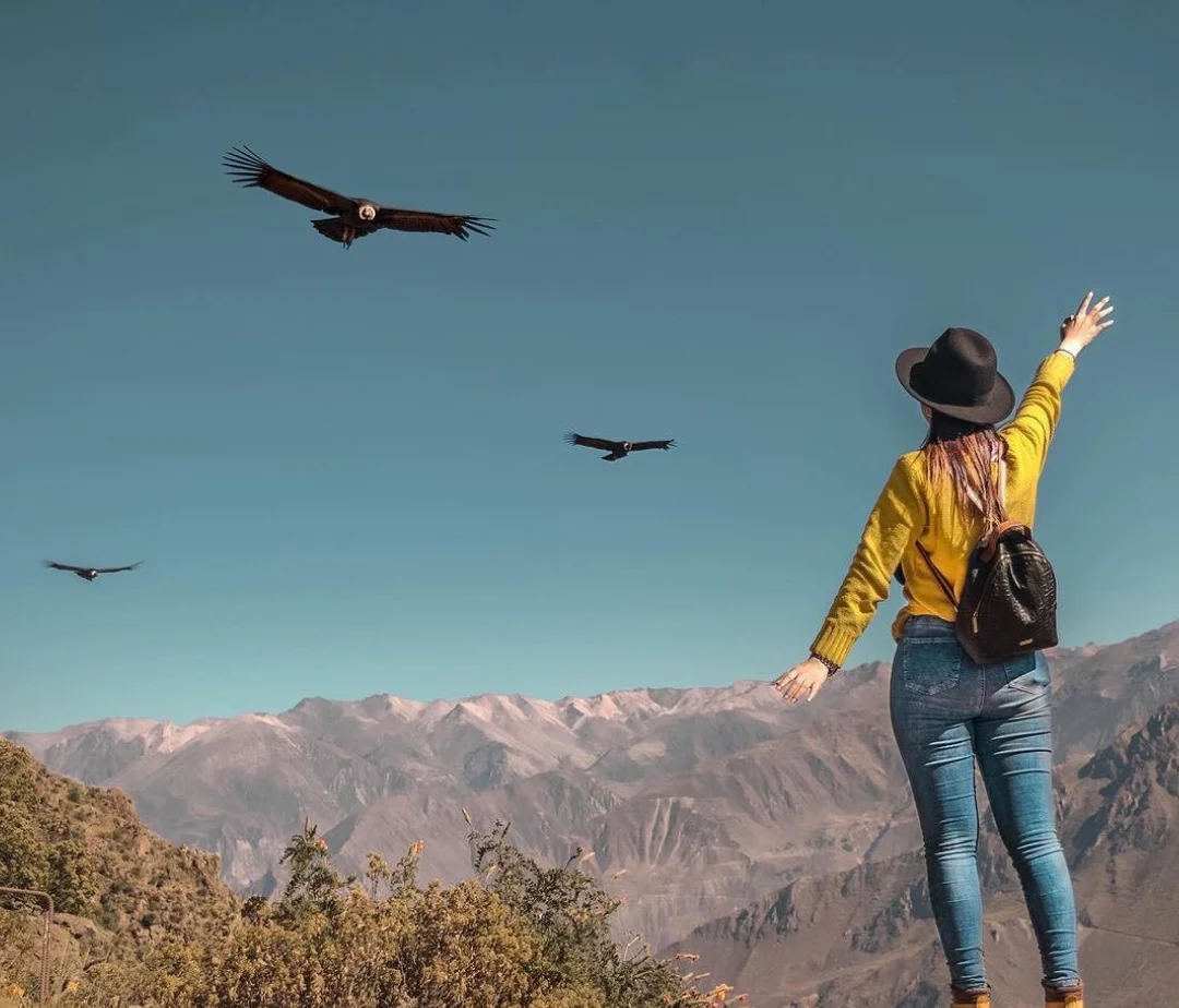 Colca Canyon Arequipa - Peru Travel Guide - Peru Bucket List