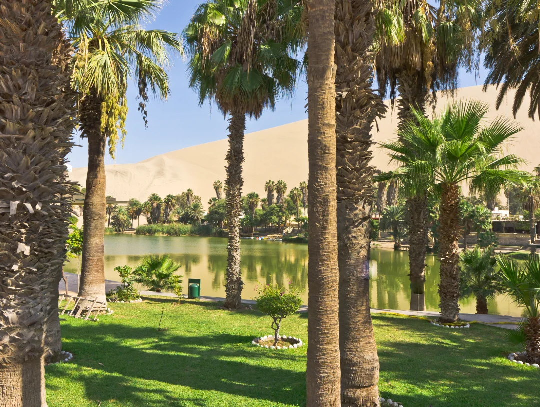 Palm trees and the Huacachina Oasis nestled among towering desert dunes in southern Peru.