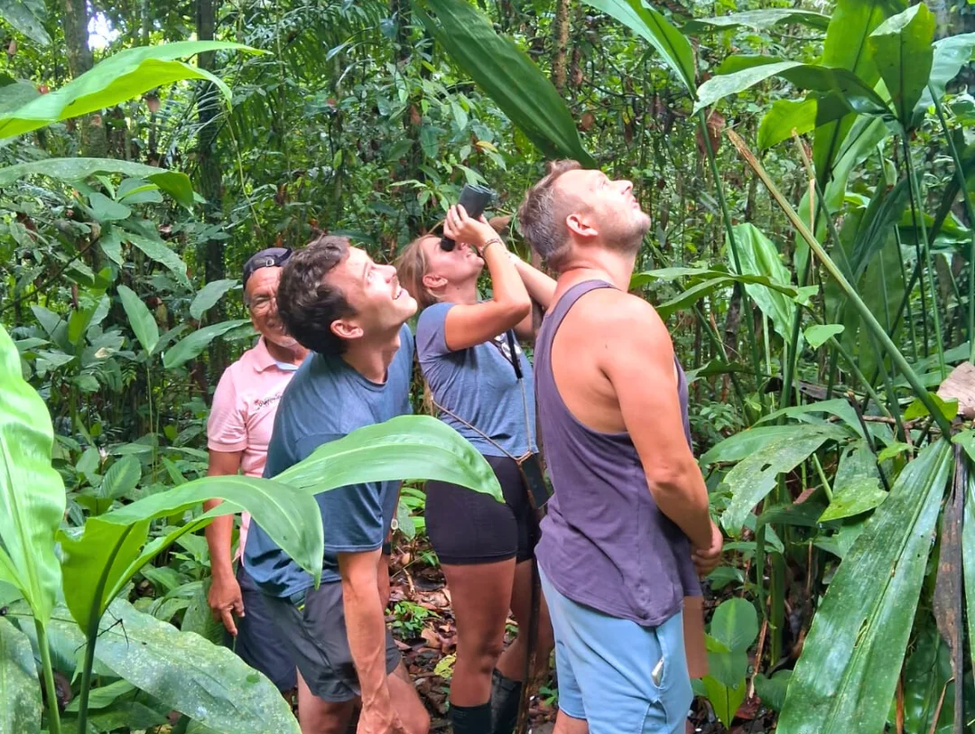Travelers spotting wildlife during a guided jungle walk in Manu National Park on a relaxing 4 Day Tour