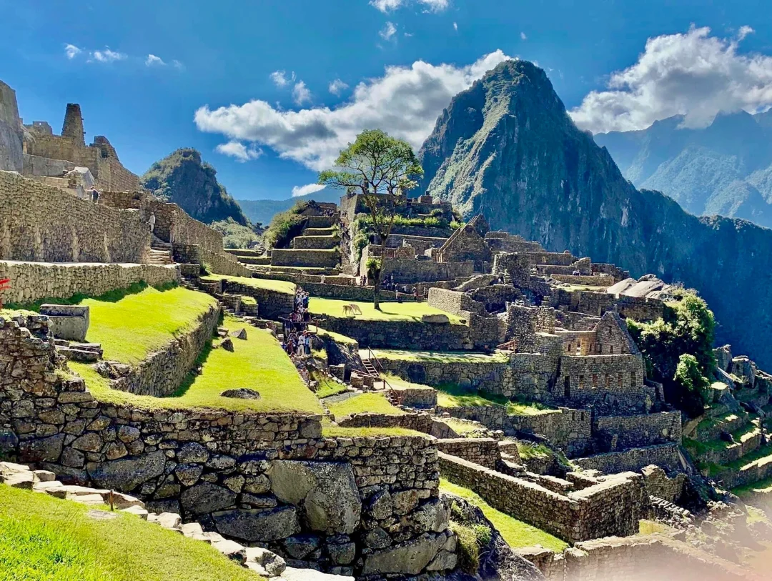 Panoramic view of Machu Picchu Citadel during the 2-Day Machu Picchu Tour by Bus