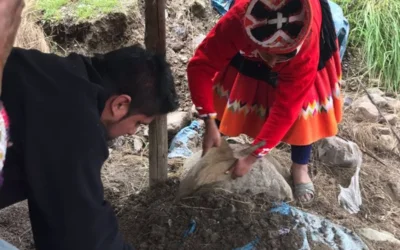 Travelers sharing a cultural experience with local people in Peru