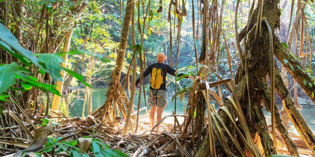 Traveler exploring the Amazon rainforest in Peru