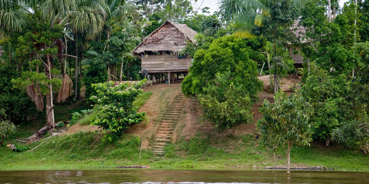 Traditional Amazonian house along the river in Manu National Park Peru