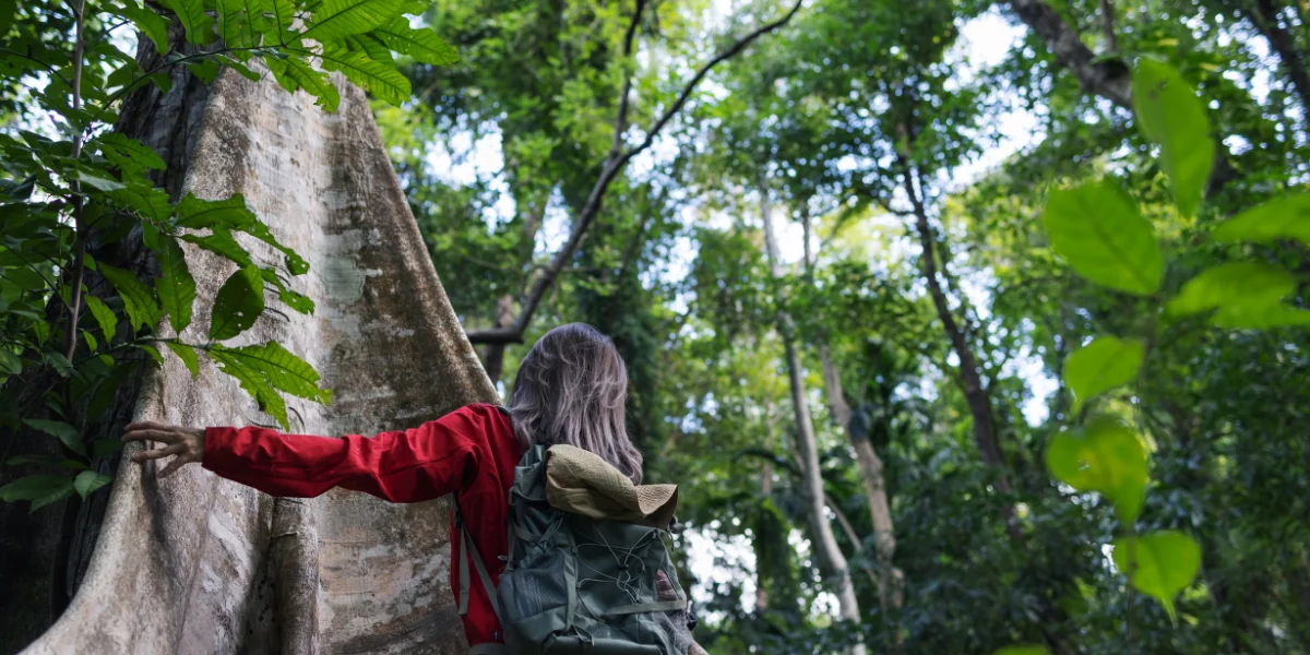 Traveler exploring the Amazon rainforest near Puerto Maldonado Peru