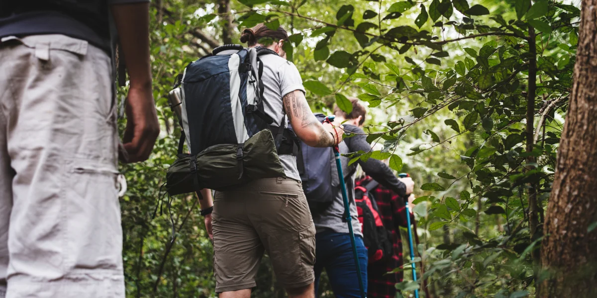 Travelers trekking through the Amazon rainforest in Manu National Park Peru
